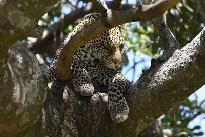 DSC_3971 (Large).JPG